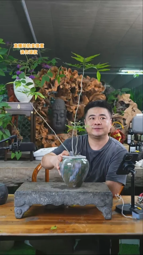 完全开放菩提408+