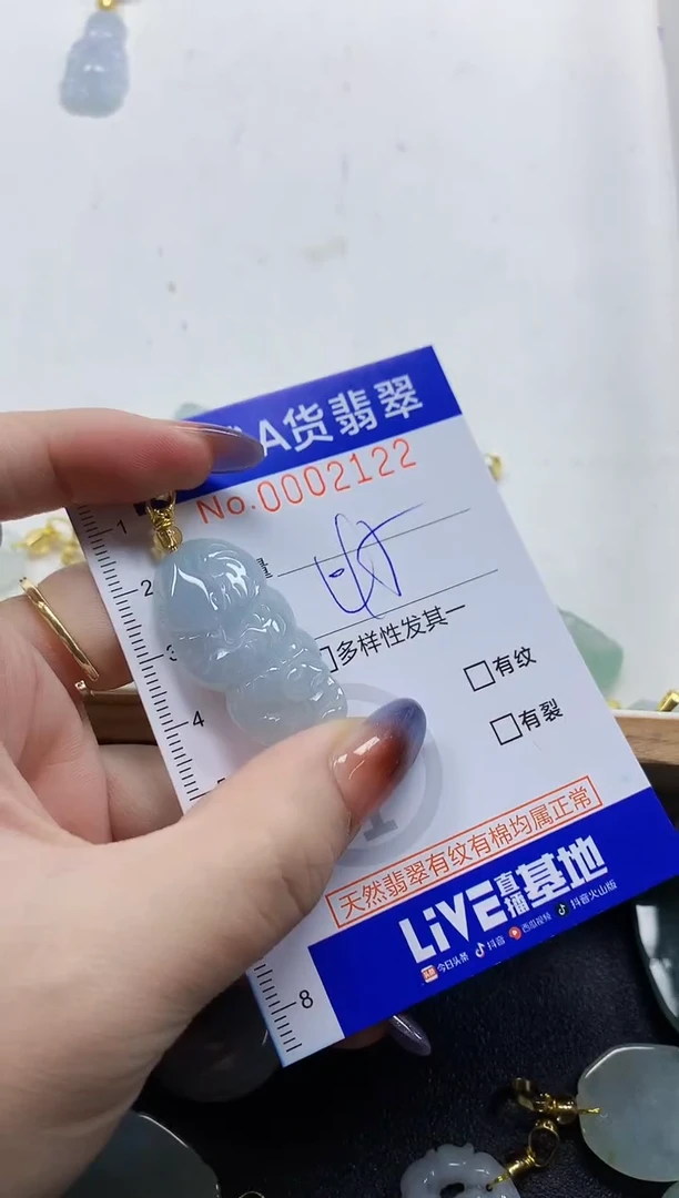 颈饰未镶嵌翡翠天然A货翡翠