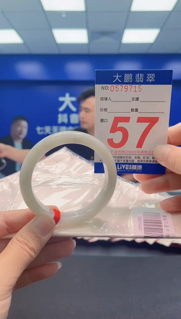 未镶嵌手镯翡翠AAAAAAAAA