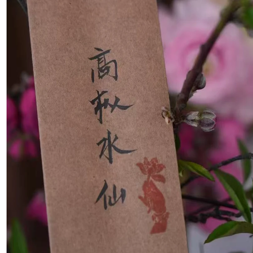 魏晋手写牛皮纸泡袋手工定制