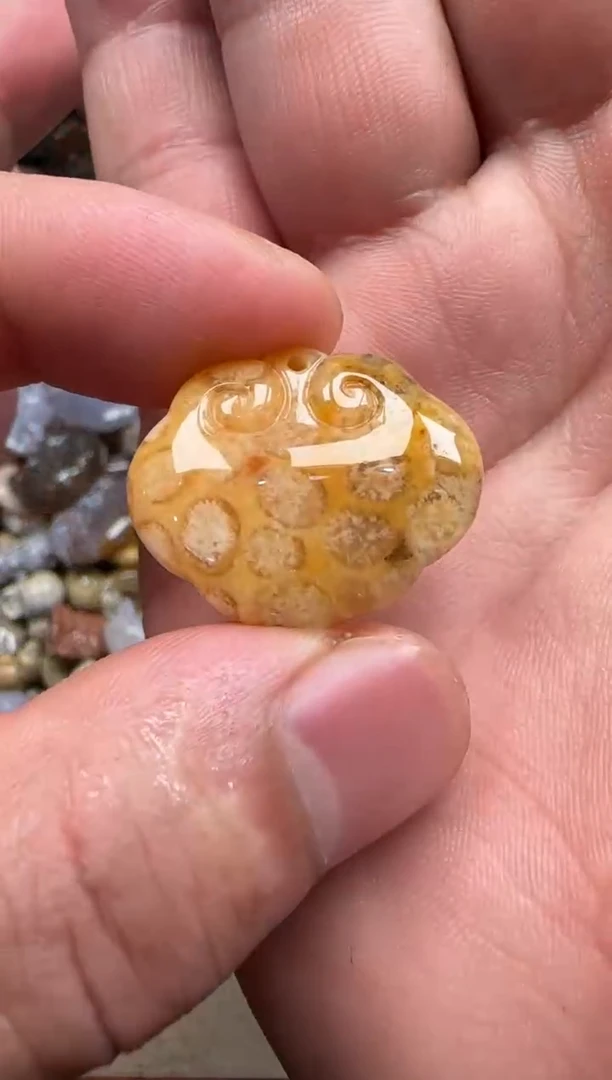 【闪购商品】硅化珊瑚（珊瑚玉）颈饰未镶嵌650