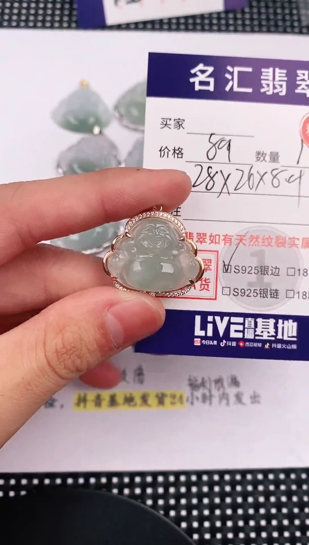 翡翠银S925镶嵌颈饰·