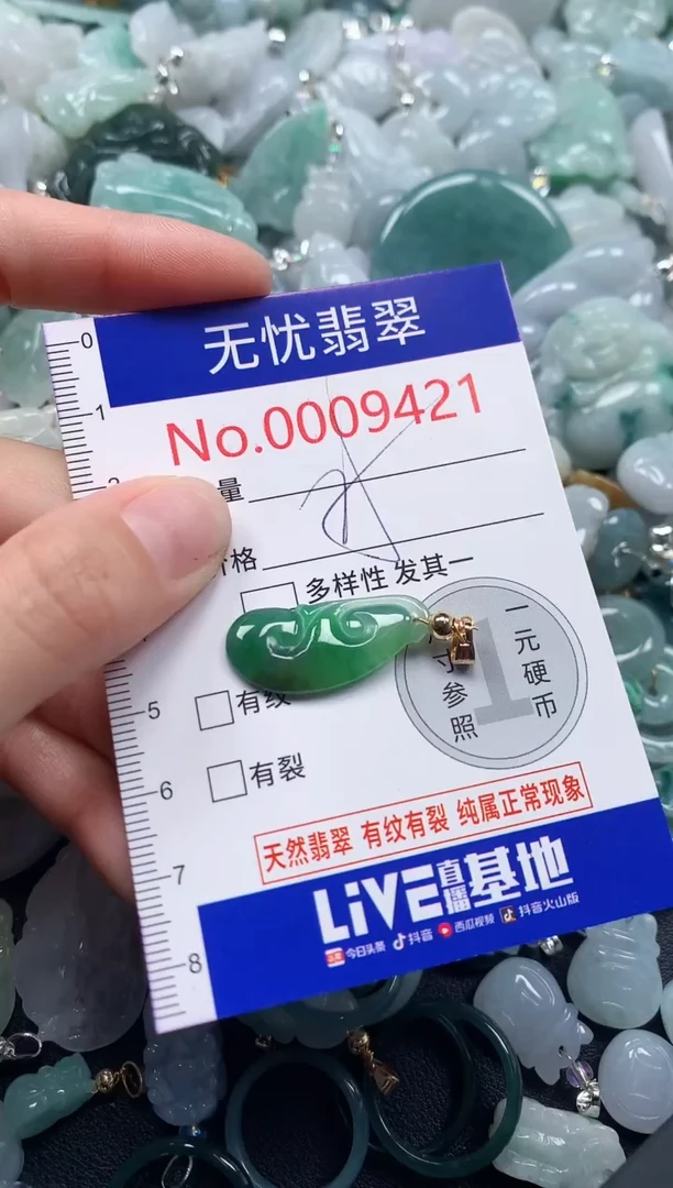 颈饰未镶嵌翡翠9421