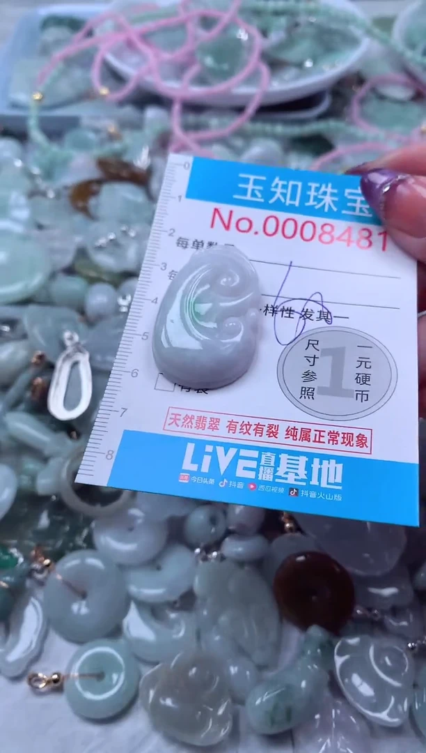 翡翠未镶嵌吊坠(不含链)8481