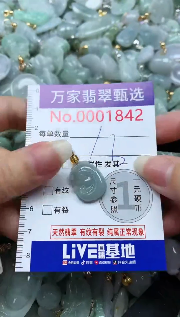 吊坠(不含链)未镶嵌翡翠1842