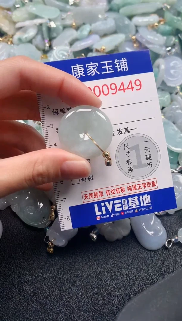 颈饰未镶嵌翡翠9449