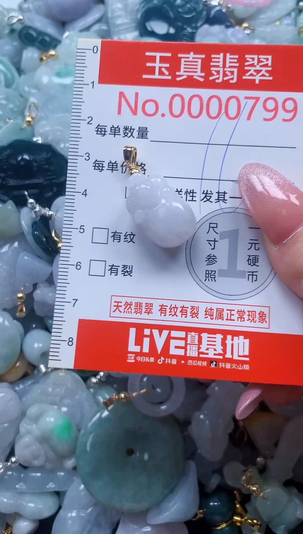 翡翠未镶嵌吊坠(不含链)0799