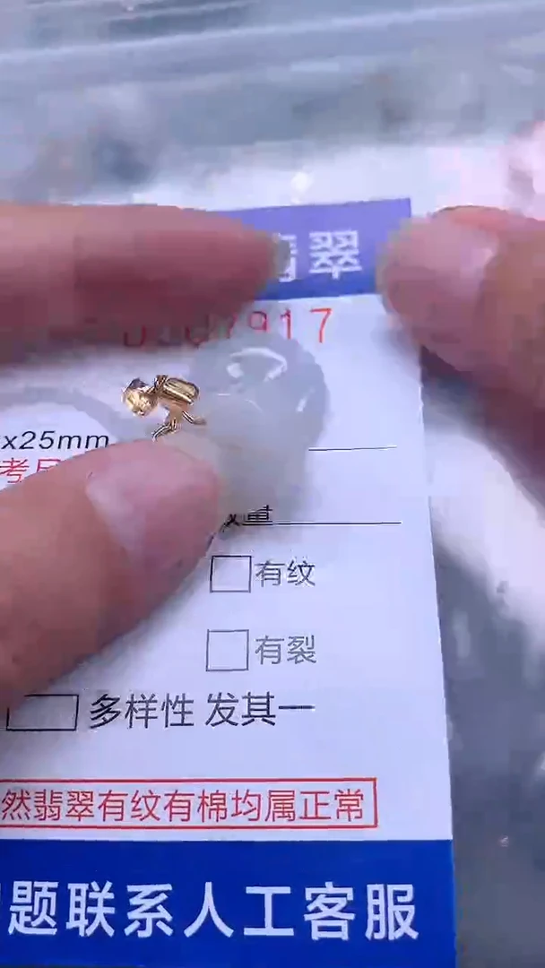 翡翠未镶嵌吊坠(不含链)11