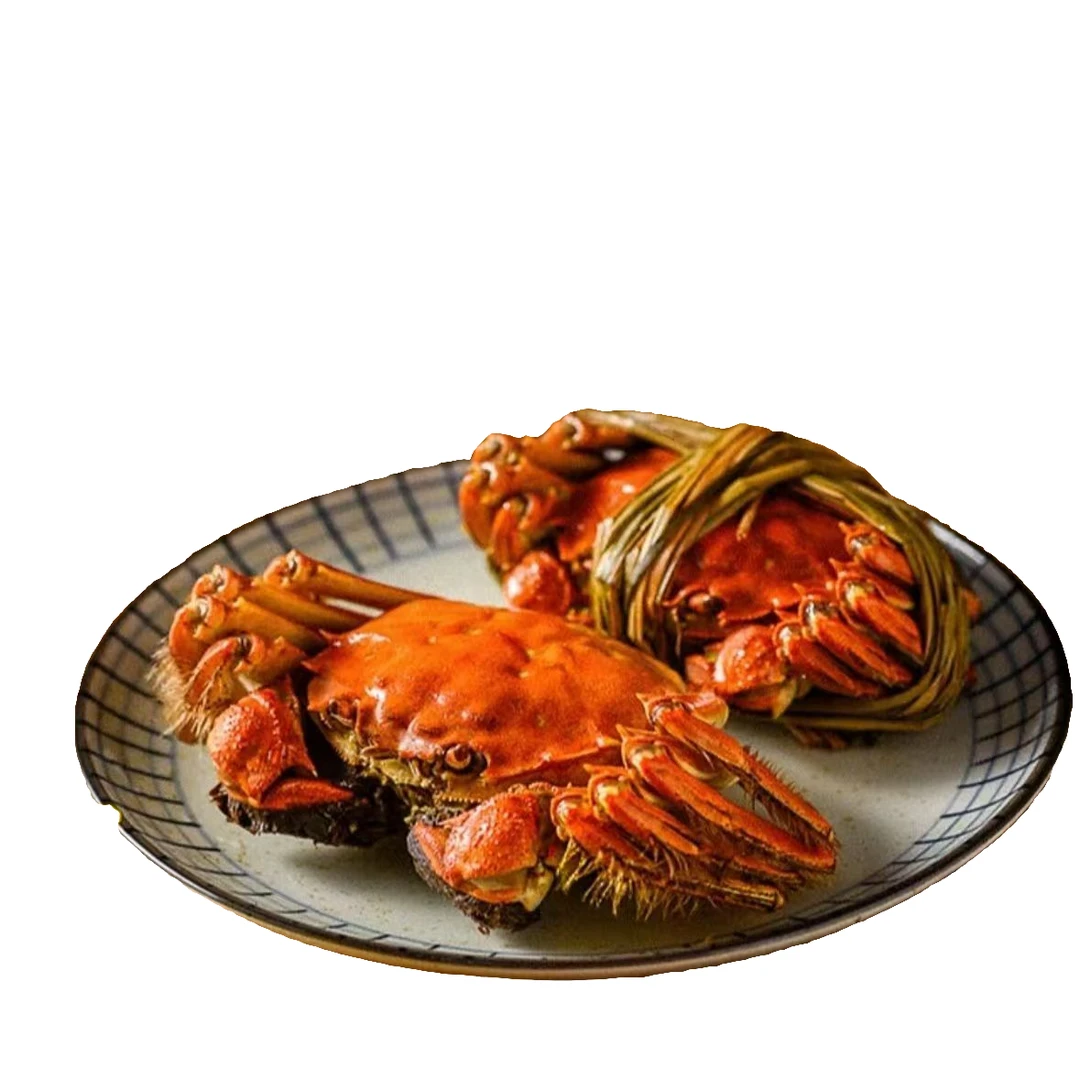 【纯母活蟹】（2.9-3.1两/只）*8/10/12只大闸蟹河蟹母蟹活螃蟹顺丰