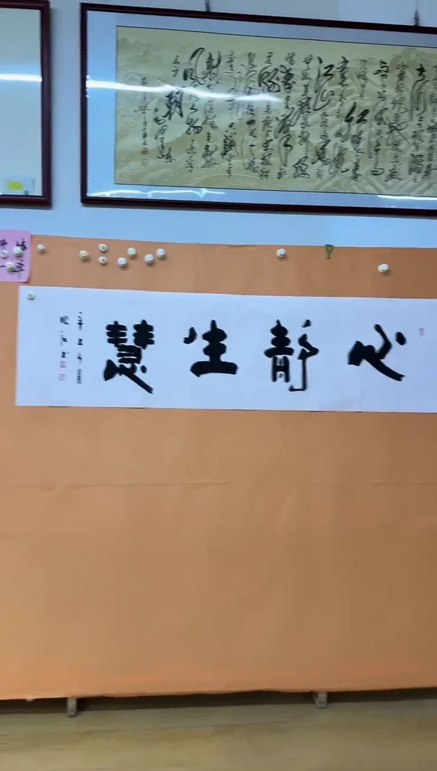 书法心静生慧作品