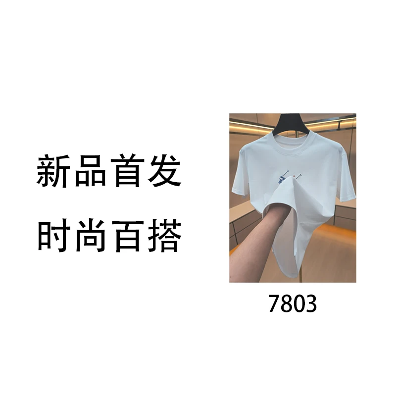 LHW-7803-轻奢时尚百搭T恤半袖上衣6M9