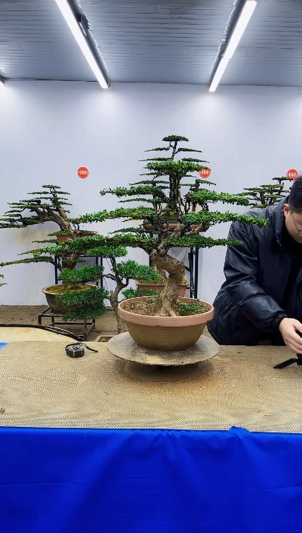 完全开放一物一拍，所见即所得