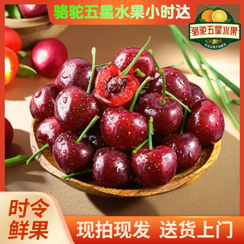 智利进口车厘子XLD~2J~3J~5J车厘子,净2斤~5斤~10斤装