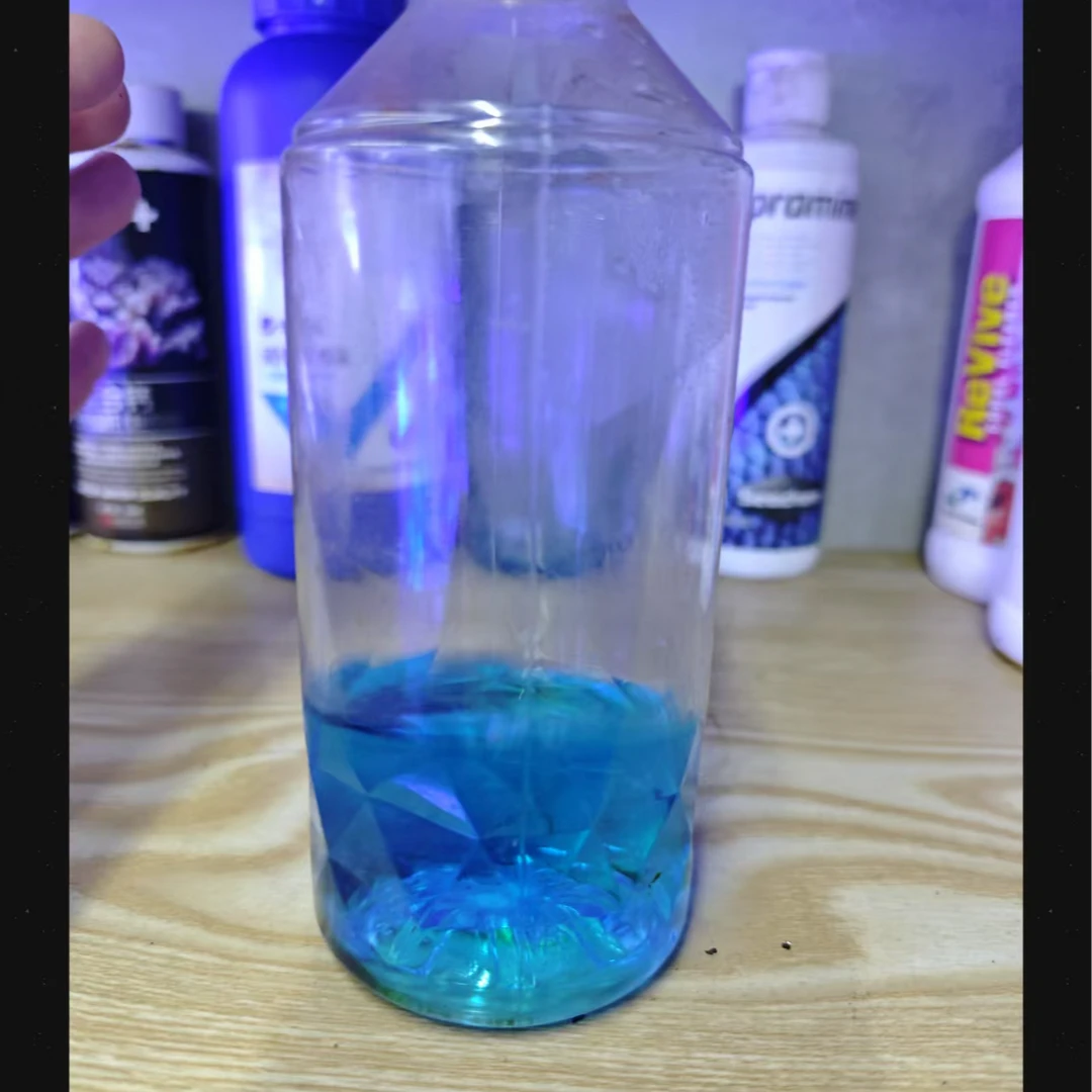 检疫流程纸质版+检疫使用工具