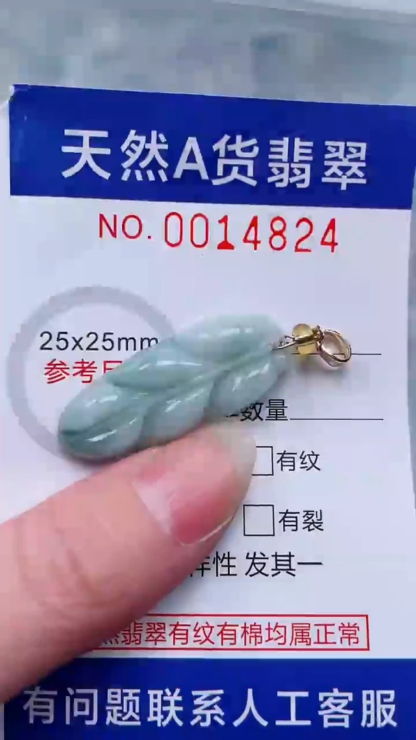 翡翠未镶嵌吊坠(不含链)1