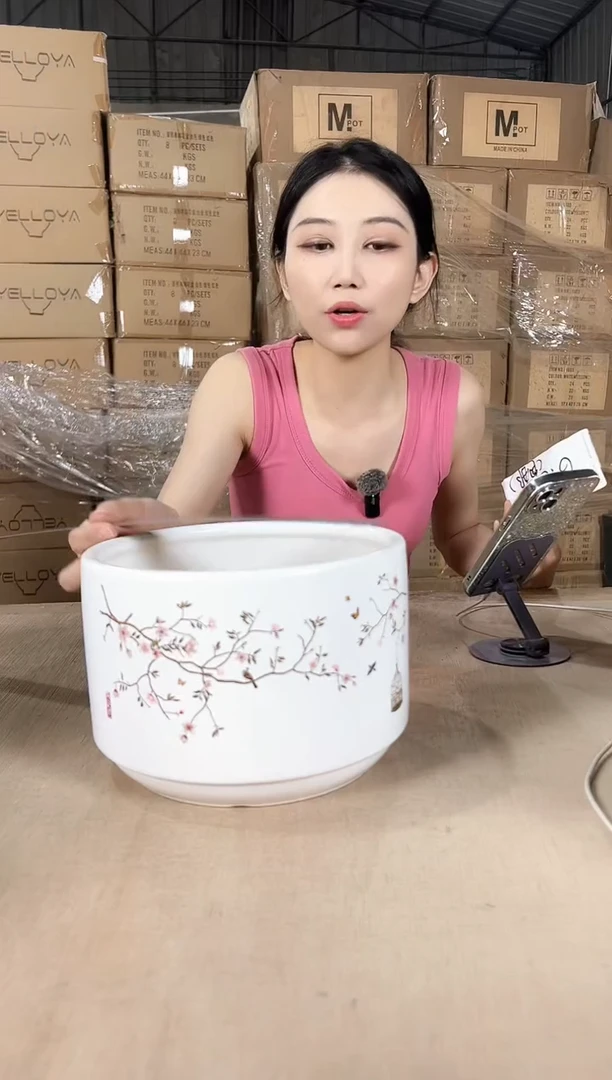 蝴蝶兰白色中号21x15