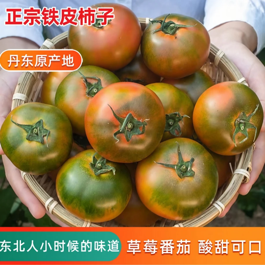 金锦汇【正宗丹东铁皮草莓柿子】 果园现摘现发 包邮