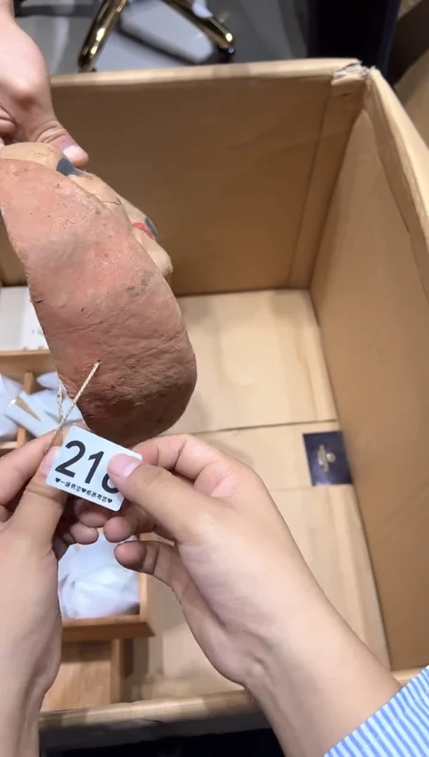 瓷片黑*216...............