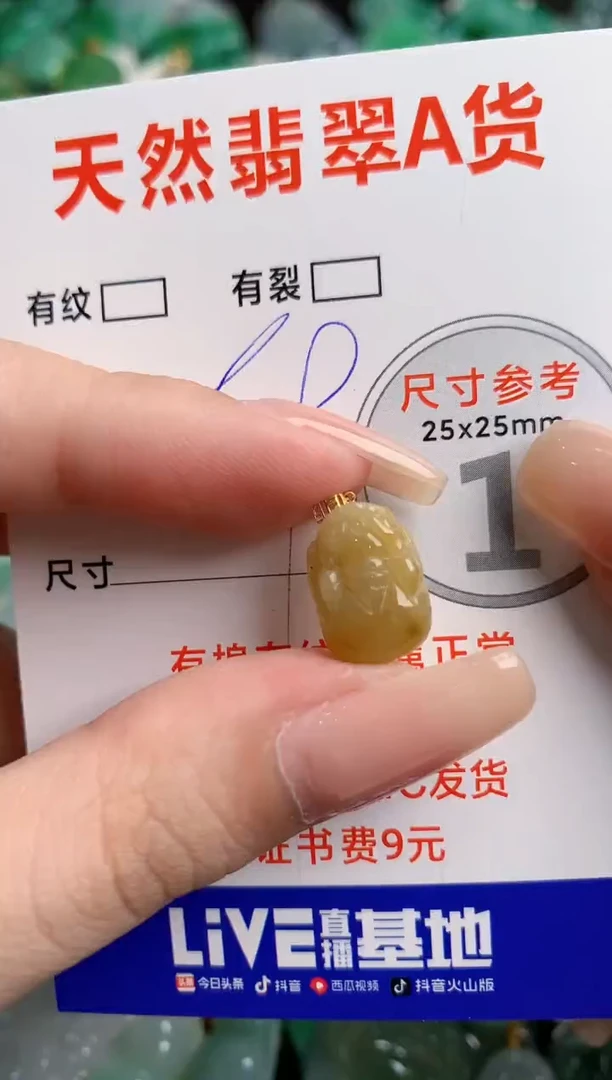 翡翠18K金镶嵌颈饰14005628