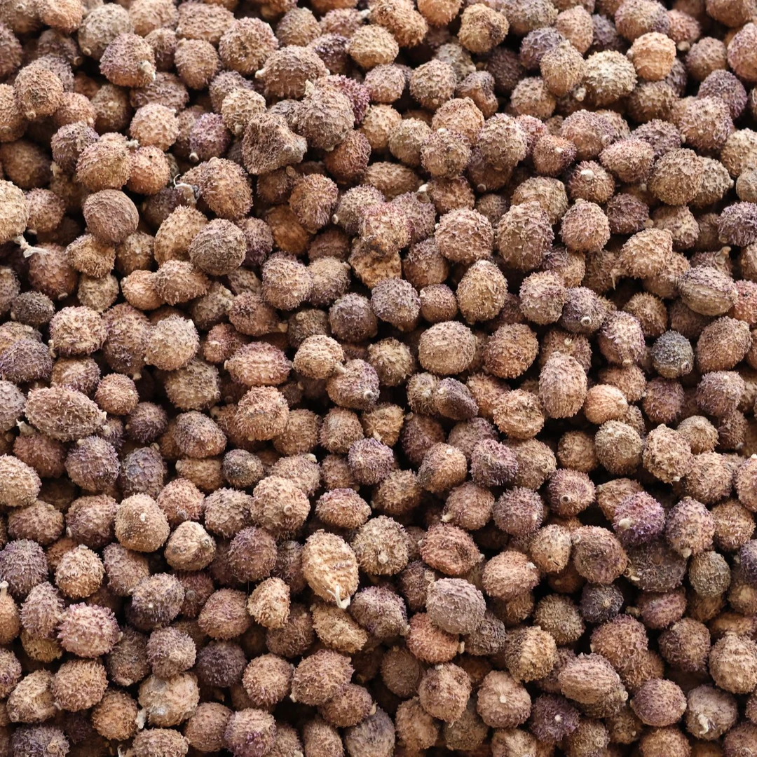 春砂仁阳春砂仁野果个小饱满黄苗仔批发泡水煲汤蒸肉砂仁蜜