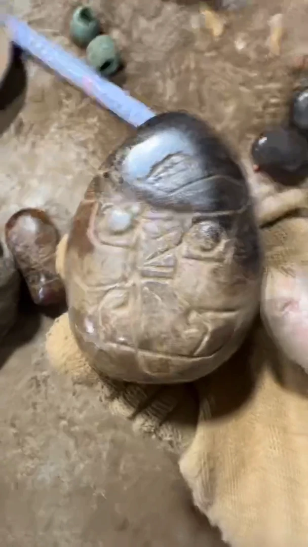 未镶嵌和田玉挂件和田玉把件