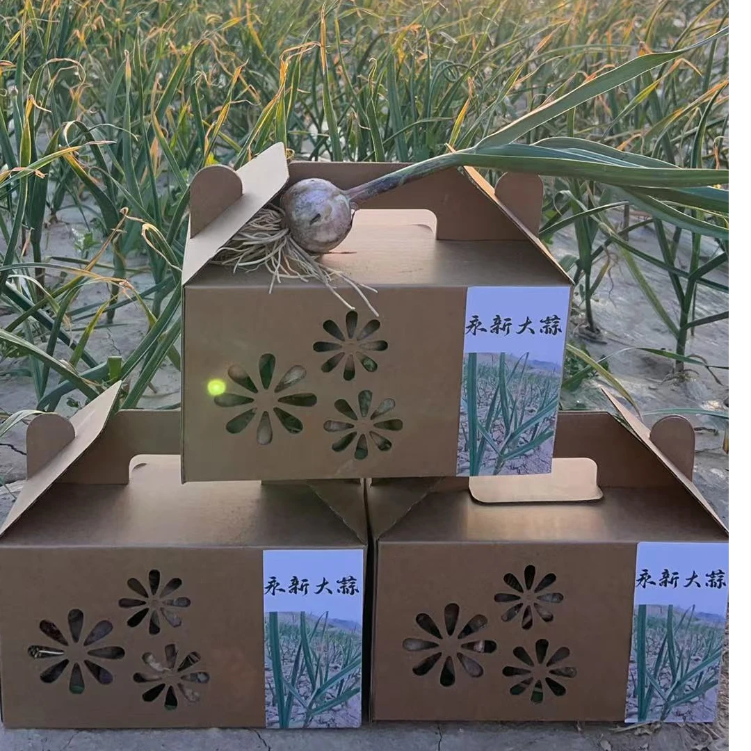 【永新大蒜，蒜头圆大，蒜形饱满，辣味纯正，皮呈红色，油气大，粘性大】