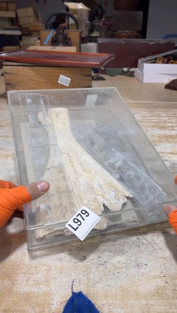 直播定闪专用链接8888金*生直播定闪专用链接8888