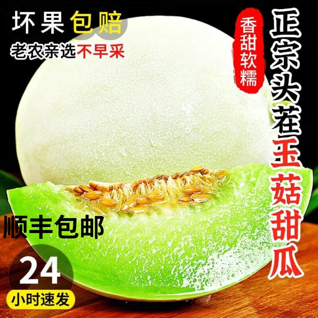 【山东玉菇甜瓜】冰激凌玉菇甜瓜新鲜应季水果头茬小香瓜青雨蜜瓜