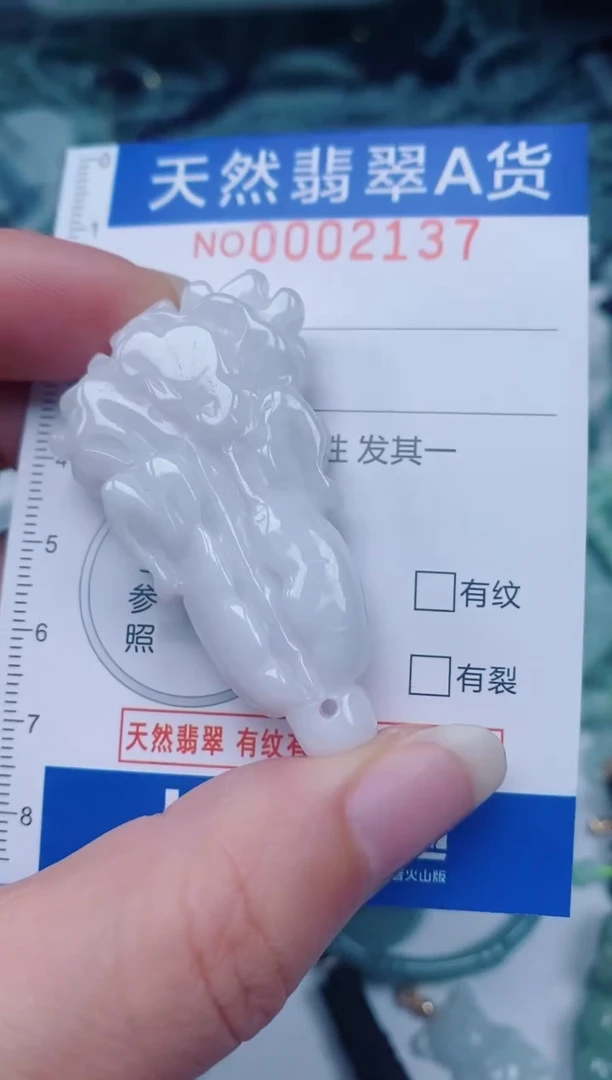 颈饰未镶嵌翡翠00002137