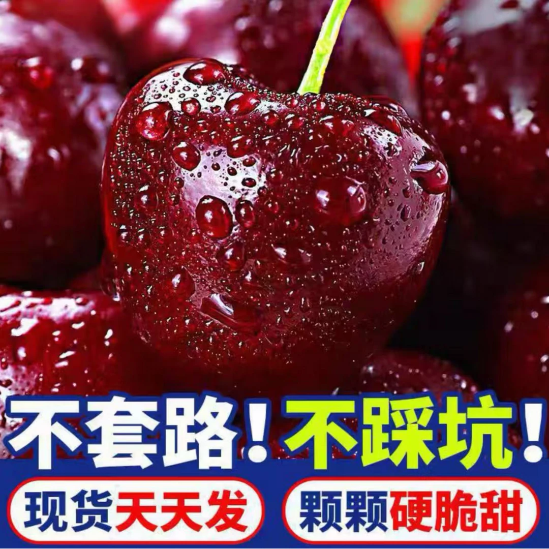 【今天拍明天到】智利进口桑提娜2-4JD车厘子海运2500g内附果径卡桑提娜樱桃智利共和国