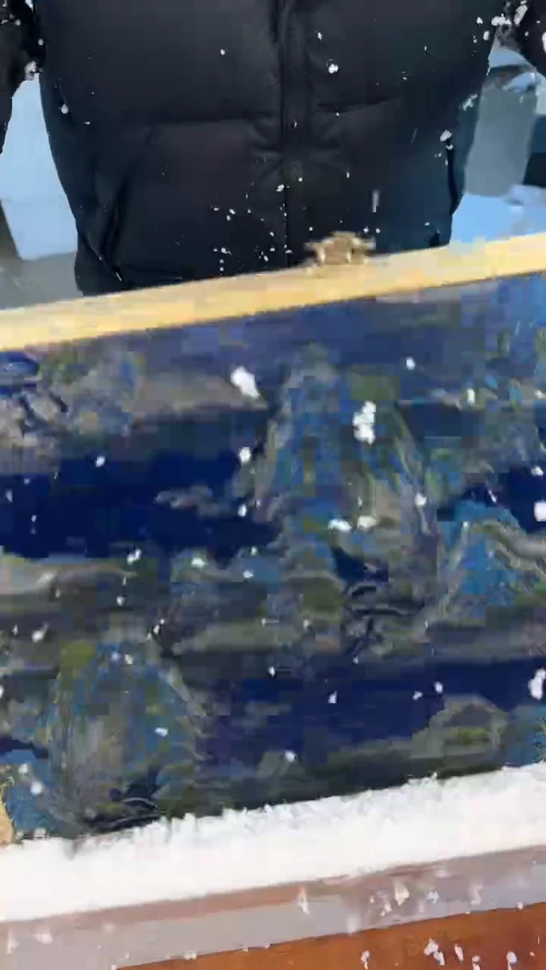 【闪购商品】清货清货清货清货清货清货清货