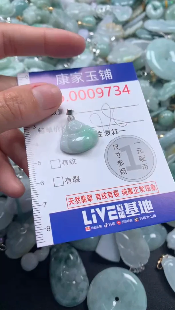 颈饰未镶嵌翡翠9734