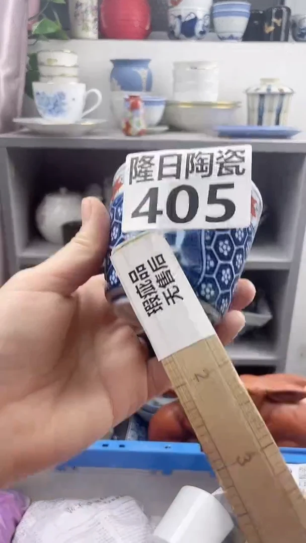 【闪购商品】瓷片405longritaoci