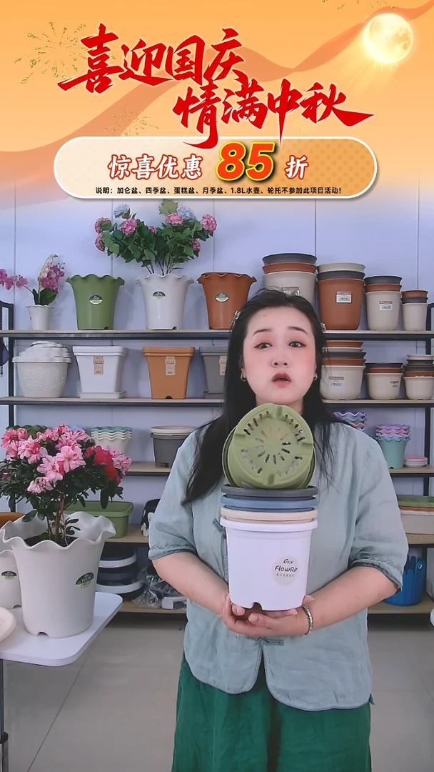 5个四季盆2号盆，无托，5个颜色