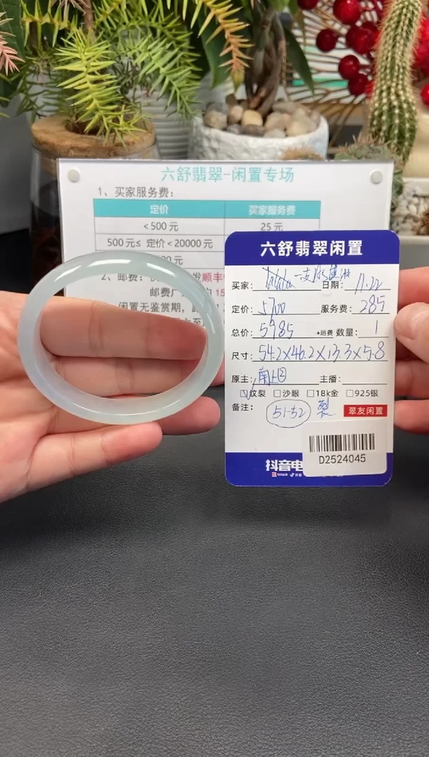 未镶嵌手镯翡翠一****?D2524045