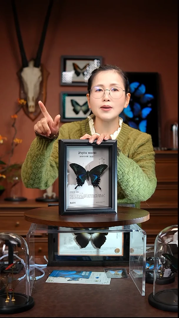 绿带夏中文科普版（常规）