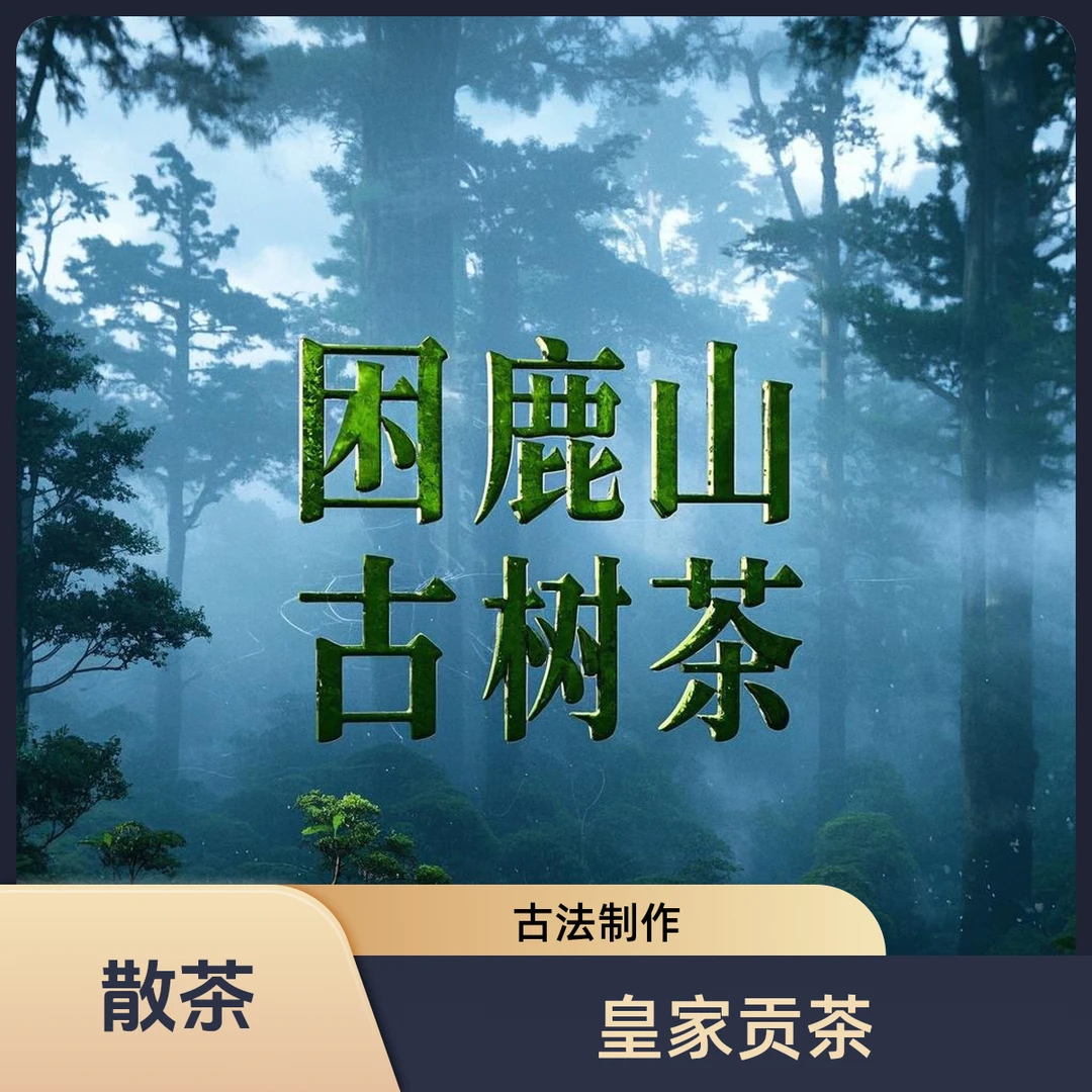 2025年 困鹿山【龙凤双株】古树混株生茶散茶 罐装（普洱茶区）
