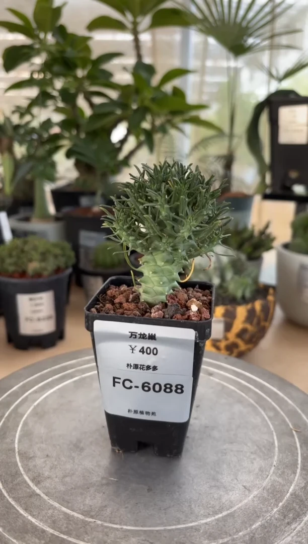 万龙巢FC-6088