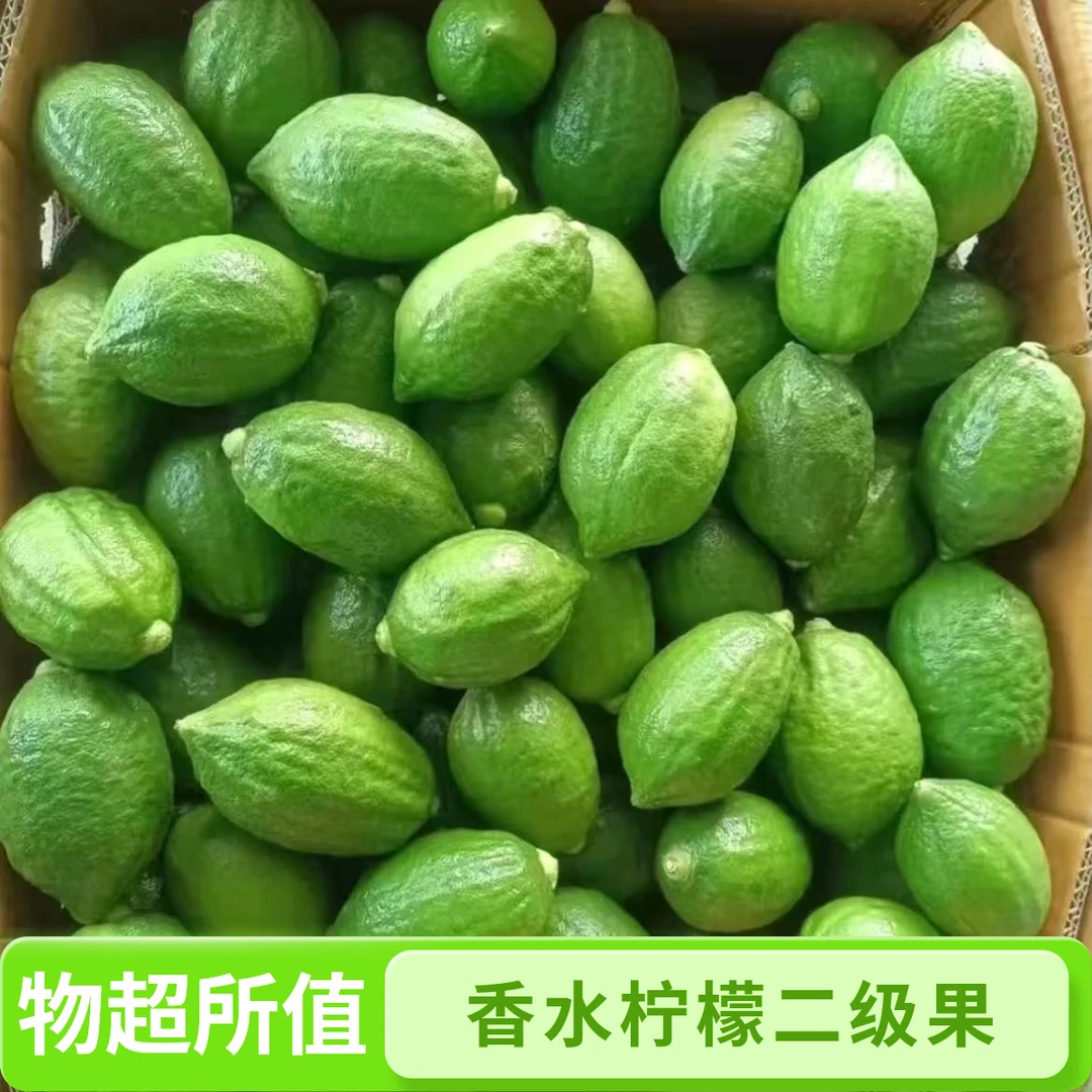 【半斤包邮】广东香水柠檬新鲜无籽清香型奶茶店专用水果