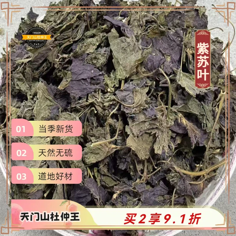 【天门山杜仲王】紫苏叶 道地湖南直采 天然无硫