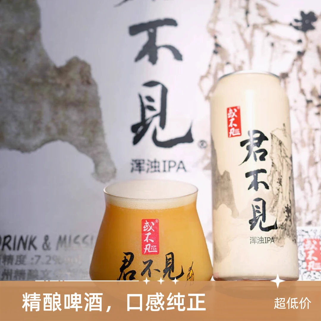 「经典」君不见啤酒500ml*1罐