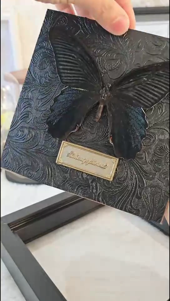 美凤蝶hw相框成品