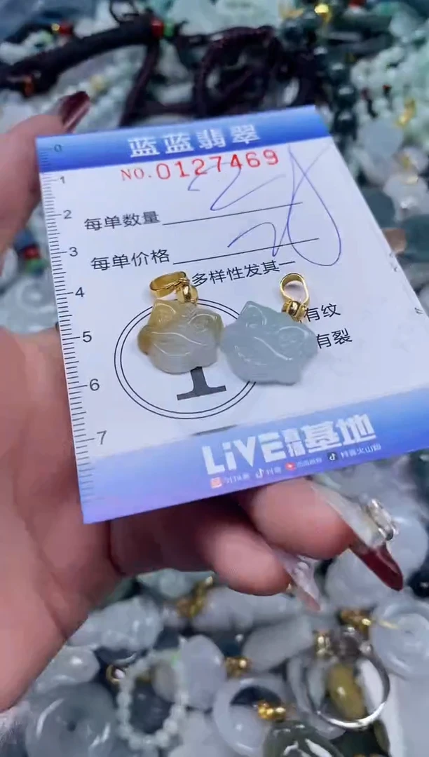 【闪购商品】翡翠颈饰未镶嵌闪购0127469