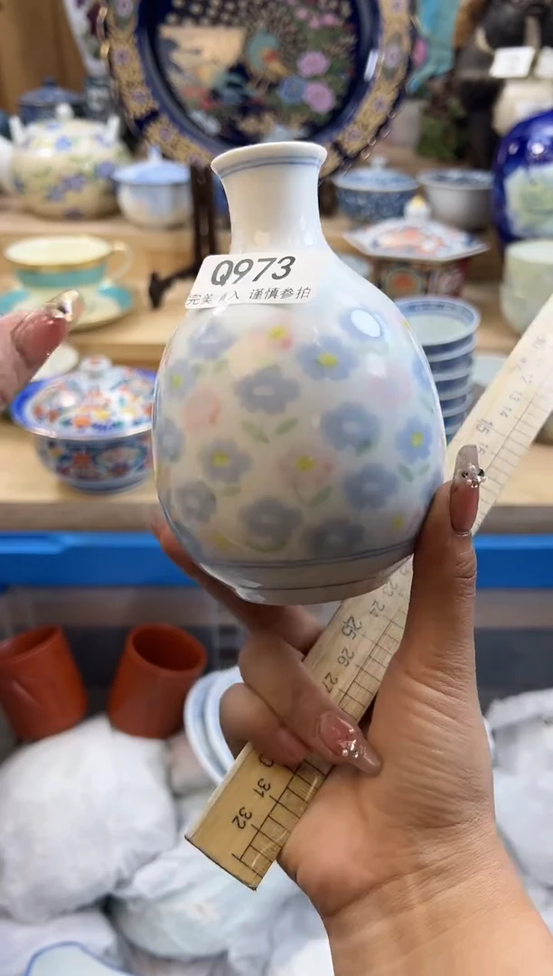 【闪购商品】瓷片973qqqqqqqqqqqq