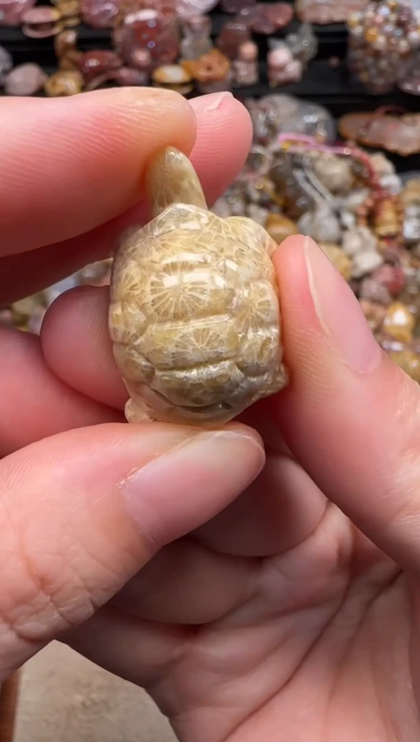 硅化珊瑚（珊瑚玉）未镶嵌颈饰386