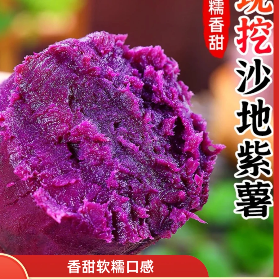 湖北沙地种植新鲜现挖紫罗兰紫薯粉糯香甜健康粗粮代餐