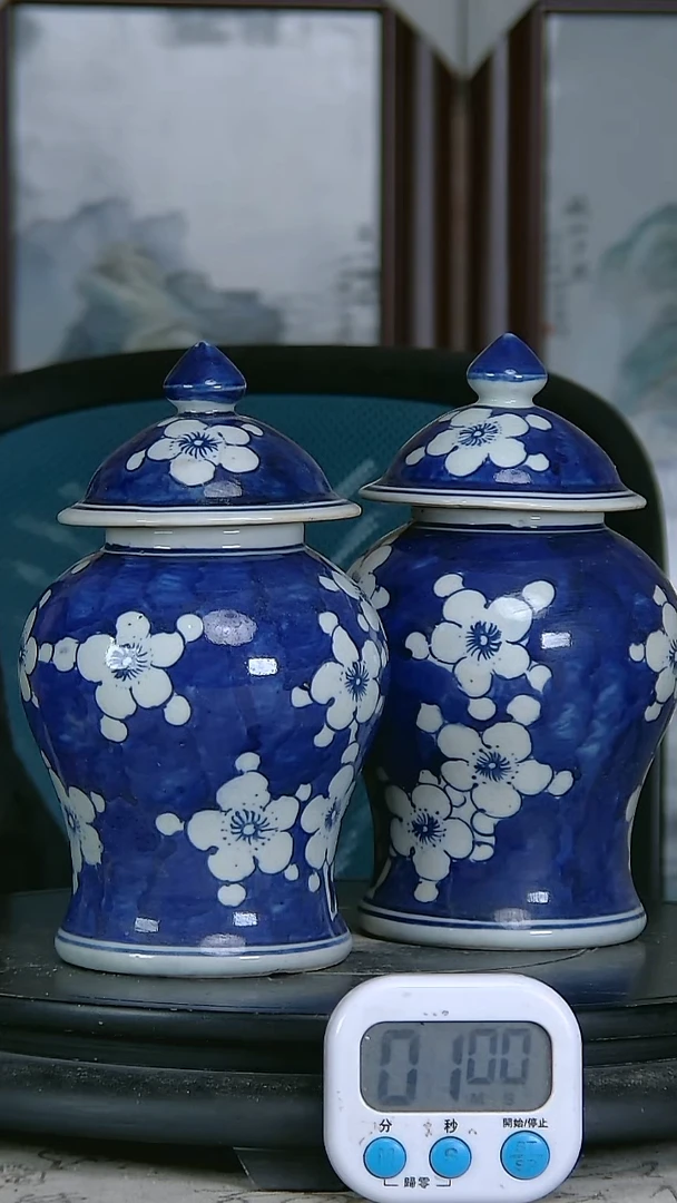 陶阿*青花精绘花卉图罐一对