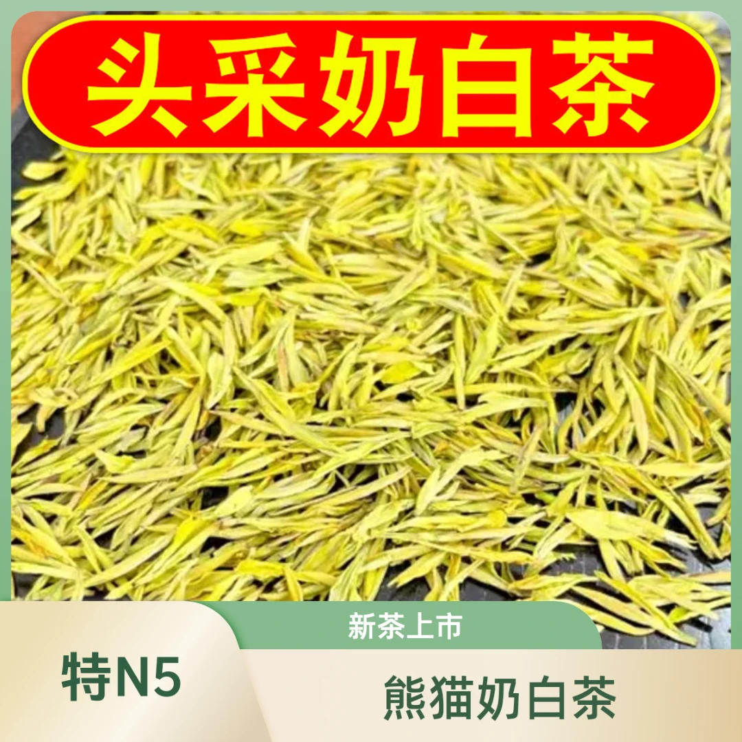 2025新茶【熊猫奶白茶】N5奶香花香鲜甜鲜爽绿茶叶黄金芽礼盒装罐装