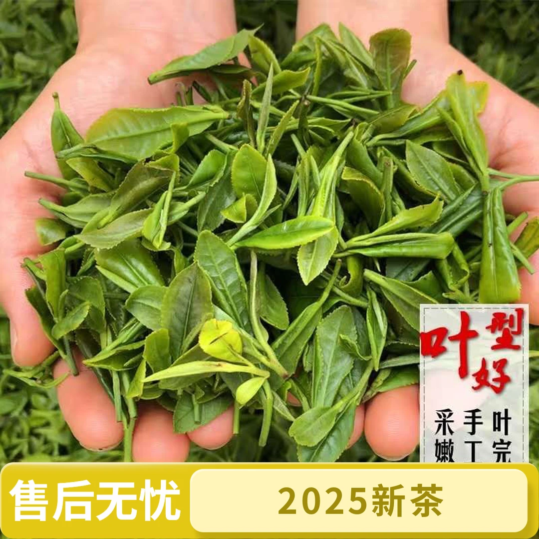 2025年新茶输茶白露茶感好板栗浓香型新茶山地茶包邮