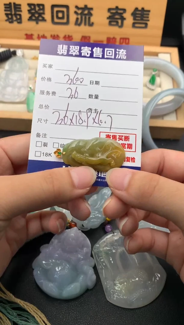 翡翠未镶嵌颈饰10140618